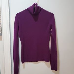 Garnet Hill Turtleneck Sweater